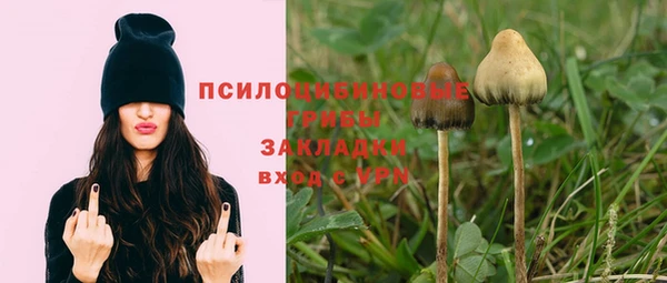 mix Няндома