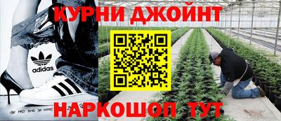2c-b Кимры