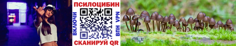 Псилоцибиновые грибы прущие грибы  как найти наркотики  сайты даркнета как зайти  Томск 
